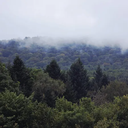 Gorski Pod Stokiem * Gladyszow